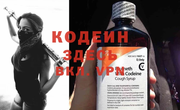 прущий лед Богданович
