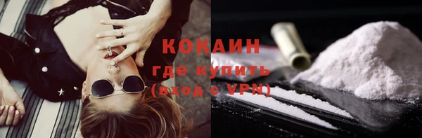 прущий лед Богданович