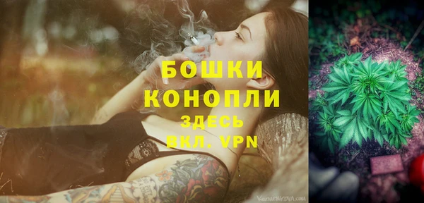эйфоретик Богородск