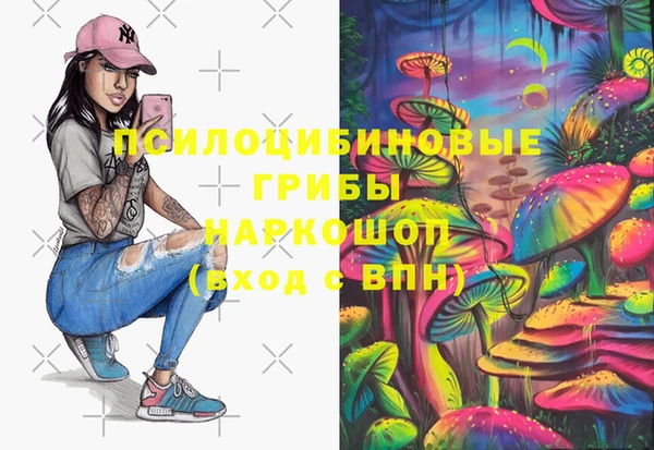 прущий лед Богданович