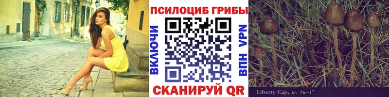 где купить наркоту  omg сайт  Псилоцибиновые грибы Cubensis  Княгинино 