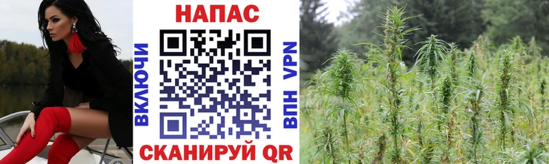 Канабис THC 21%  Княгинино 